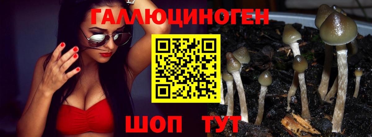 Псилоцибиновые грибы MAGIC MUSHROOMS Златоуст